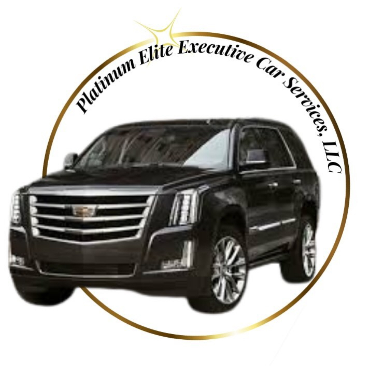 Platinum Elite Executive Car Service logo